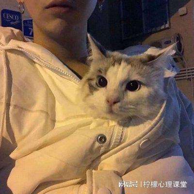 精灵骑士团物语游戏下载