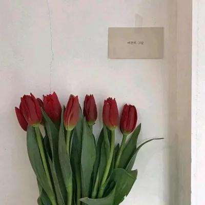 不败武侠官方版下载